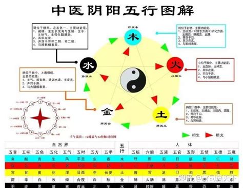 五行生活|浅谈“五行”在日常生活中的应用